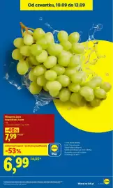 Lidl gazetka Strona 21