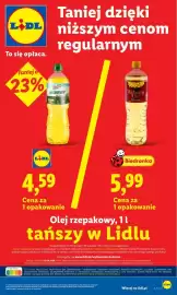 Lidl gazetka Strona 29