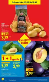 Lidl gazetka Strona 40