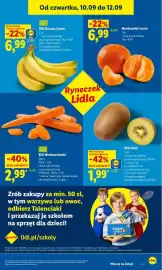 Lidl gazetka Strona 41