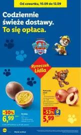 Lidl gazetka Strona 42
