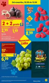 Lidl gazetka Strona 43