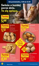 Lidl gazetka Strona 46