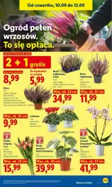 Lidl gazetka Strona 83