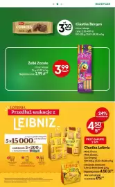 Żabka gazetka Strona 24