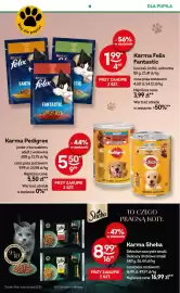 Żabka gazetka Strona 82