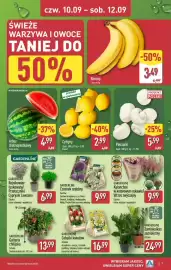 ALDI gazetka Strona 7: Rojnikowiec łuskowaty Gardenline €6,99, Zamiokulkas zamiolistny Gardenline €24,99