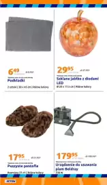 Action gazetka tydzień 37 Strona 35: Puszyste pantofle €17,95, Podkładki 2 sztuki 30 x 45 cm €6,49