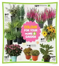 Thrifty Foods flyer week 37 Page 13