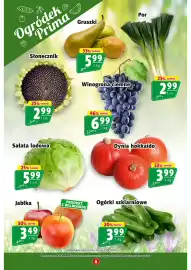 Prim Market gazetka tydzień 37 Strona 6: Sałata lodowa €5,99, Ogórki szklarniowe €3,99