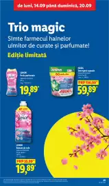 Catalog Lidl săptămâna 38 Pagină 29