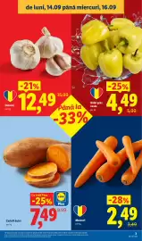 Catalog Lidl săptămâna 38 Pagină 3