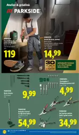 Catalog Lidl săptămâna 38 Pagină 42