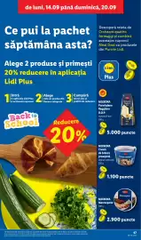 Catalog Lidl săptămâna 38 Pagină 47