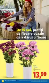 Catalog Lidl săptămâna 38 Pagină 52