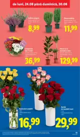 Catalog Lidl săptămâna 38 Pagină 53