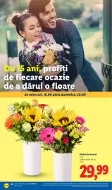 Catalog Lidl săptămâna 38 Pagină 54