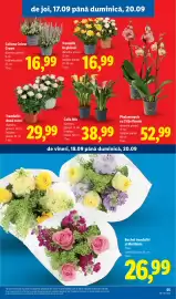 Catalog Lidl săptămâna 38 Pagină 55
