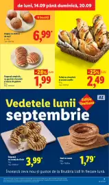 Catalog Lidl săptămâna 38 Pagină 7