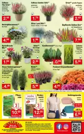 Zimmermann Prospekt woche 38 Seite 14