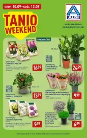 ALDI gazetka Strona 1: Kalanchoe w kolorowym rękawie Gardenline €9,99, Cyprysik Lawsona Gardenline €6,99