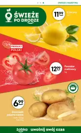 Żabka gazetka Strona 8: Ziemniaki jadalne siatka €6,99, Pomidory malinowe €12,99