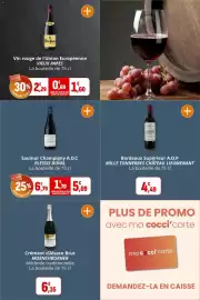 Catalogue Coccinelle Express page 20: PLESSIS DUVAL Saumur Champigny A.O.C €5,09