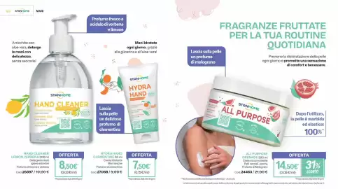 Catalogo Stanhome Pagina 52: Stanhome All Purpose Grenade €14,50, Hydra Hand Clementine €7,50