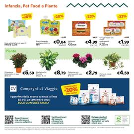 Volantino Unes Pagina 24: Dieffenbachia Camilla €8,79, Crisantemo Settembrino €5,59