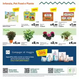 Volantino Unes Pagina 24: Dieffenbachia Camilla €8,79, Crisantemo Settembrino €5,59