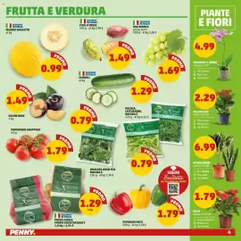 Volantino PENNY Pagina 4: Piante verdi €6,99, Fichi d'India €1,49
