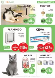 Volantino ZooPlanet Pagina 7: Beeztees Gioco per gatti €10,98, Lettiera vegetale per gatti €5,79