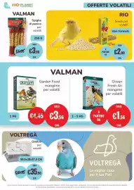 Volantino ZooPlanet Pagina 8: Snack per volatili RIO €2,00, Panico in Spiga €3,96