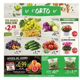 Volantino Maxi Coal Pagina 6: Mele Sweetango Melinda €1,99, Ciclamino fiore grande €2,99