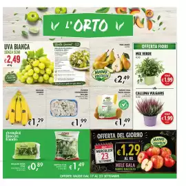Volantino Maxi Coal Pagina 7: Funghi champignon tagliati €1,99, Calluna vulgaris €1,99