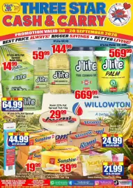 Three Star Cash and Carry catalogue Page 4