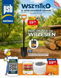Mrówka gazetka Strona 1