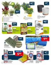 Mrówka gazetka Strona 4