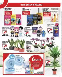 Volantino Ipercoop Pagina 41: Libri Linea Feltrinelli, Composizione sansevieria in ceramica €17,90