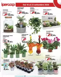Volantino Ipercoop Pagina 42: Terrarium €13,90, Alma piante assortite €3,90