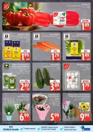 Edeka DE folder week 37 Pagina 3