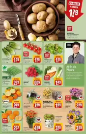 Rewe DE folder week 37 Pagina 7