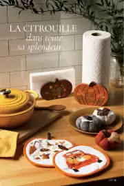 AVON flyer Page 13
