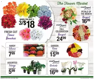 Shaw's flyer Page 20