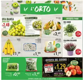 Volantino Coal Pagina 7: Calluna vulgaris V.10 €1,99, Mix Verde V.10 €1,99