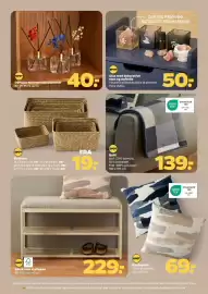 Netto tilbudsavis uge 37 Side 25: Duftolie med tørrede blomster €40,00, Pyntepude €69,00