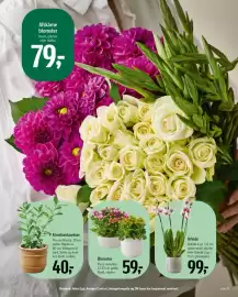 Føtex tilbudsavis uge 37 Side 71: Orkidé €99,00, Blomster €59,00