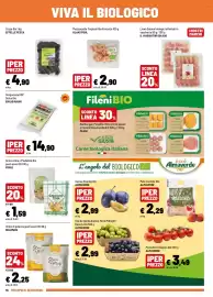 Volantino Iper La Grande Pagina 10: Gnoccotina o Piadatina Bio €1,59, Cozze Bio EFFELLE PESCA €4,90