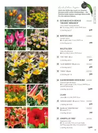 Starkl Flugblatt Seite 10