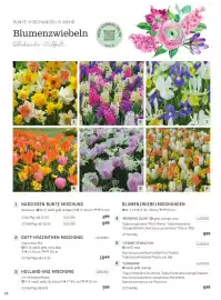 Starkl Flugblatt Seite 13